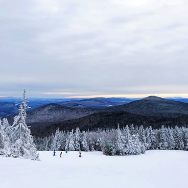 Skiing and Snow Sports