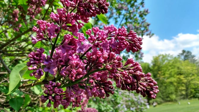 Planning the Perfect Mother's Day GetAway to Killington