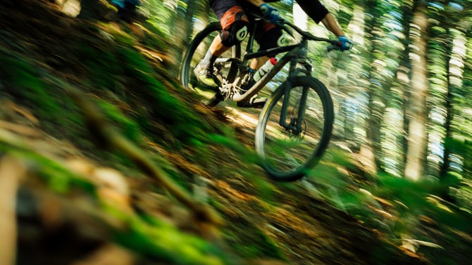 Have a Thrilling Day at the Killington Bike Park