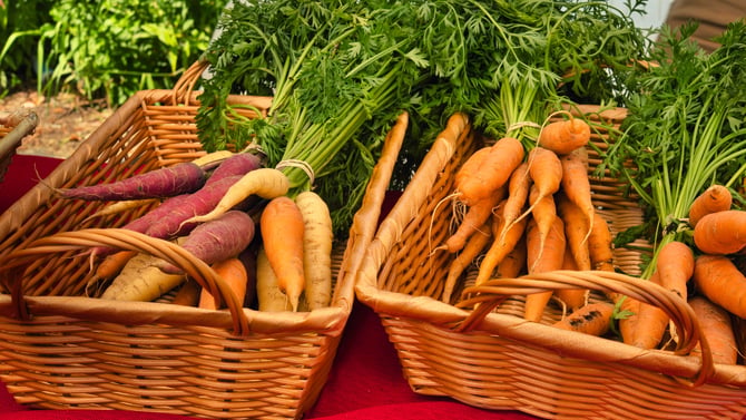 The Best Things to Explore at the Woodstock Farmers Market