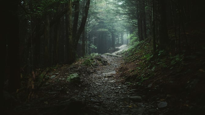 Why You Need to See Knight's Spider Web Farm in Vermont