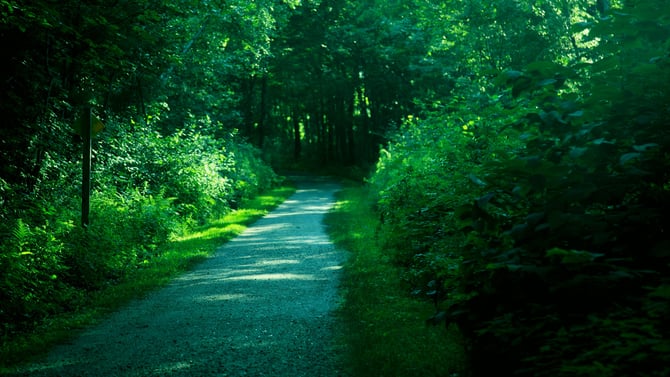3 Exciting Things to Do in Killington VT in Summer