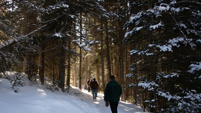 Reasons to Visit Killington in the Winter