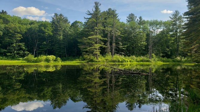 Why You Need to Visit the Marsh-Billings-Rockefeller National Park